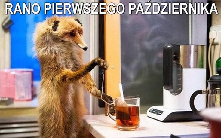 Lis pierwszego października